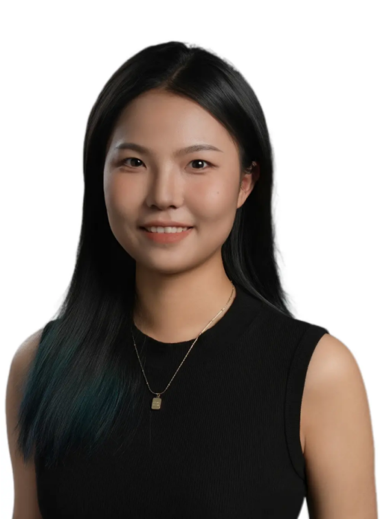 Lithium Ion Cell Sales